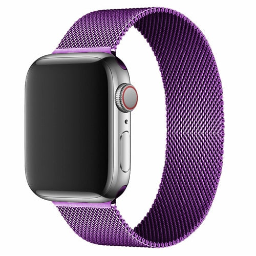 Stainless Steel Magnetic Loop Bracelet for Apple iWatch Series